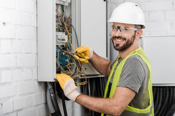Best Local Electrician Companies  in Mapleton, ND